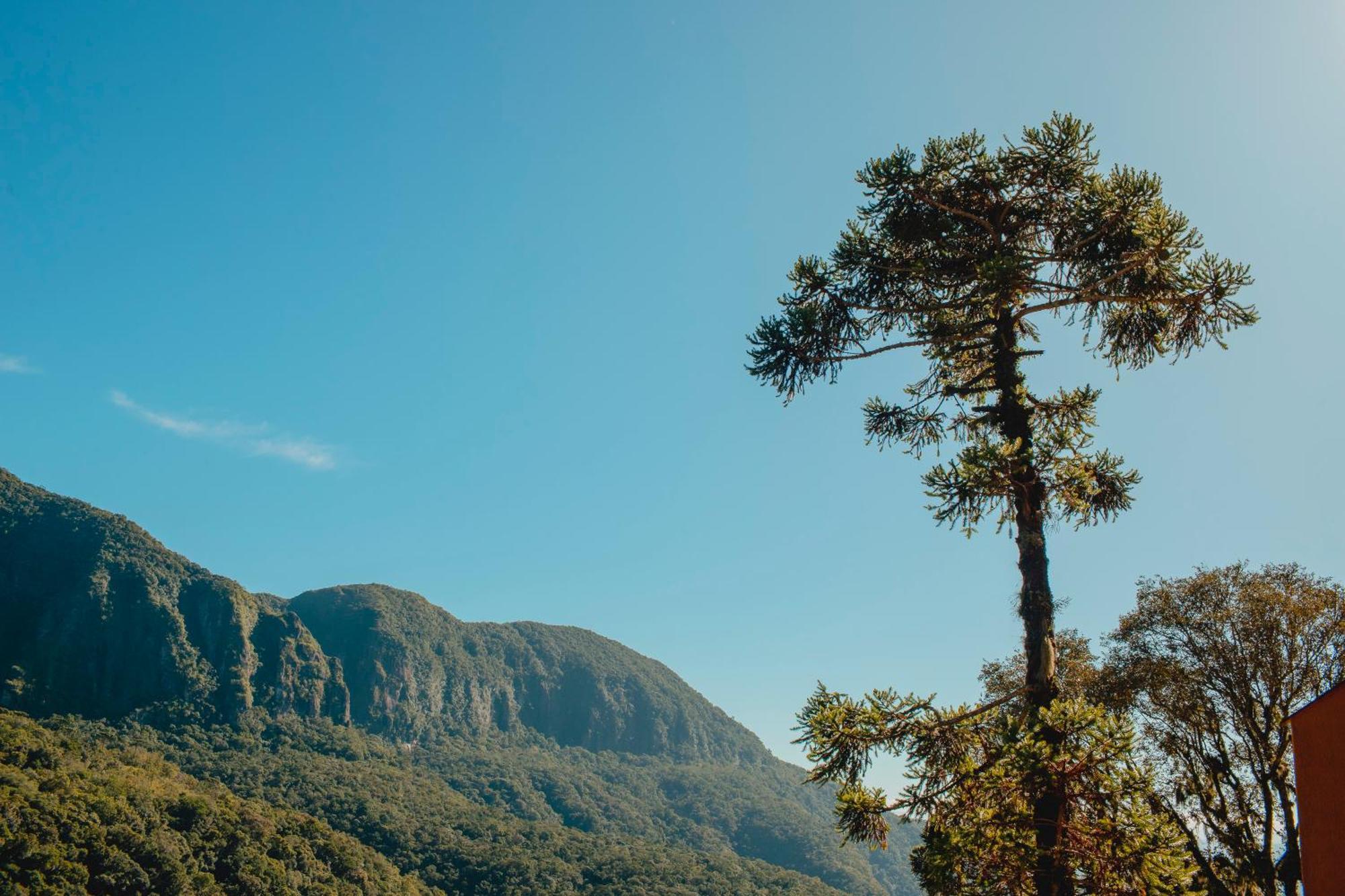 Pousada Bugio Da Serra Hotell Novo Horizonte  Eksteriør bilde