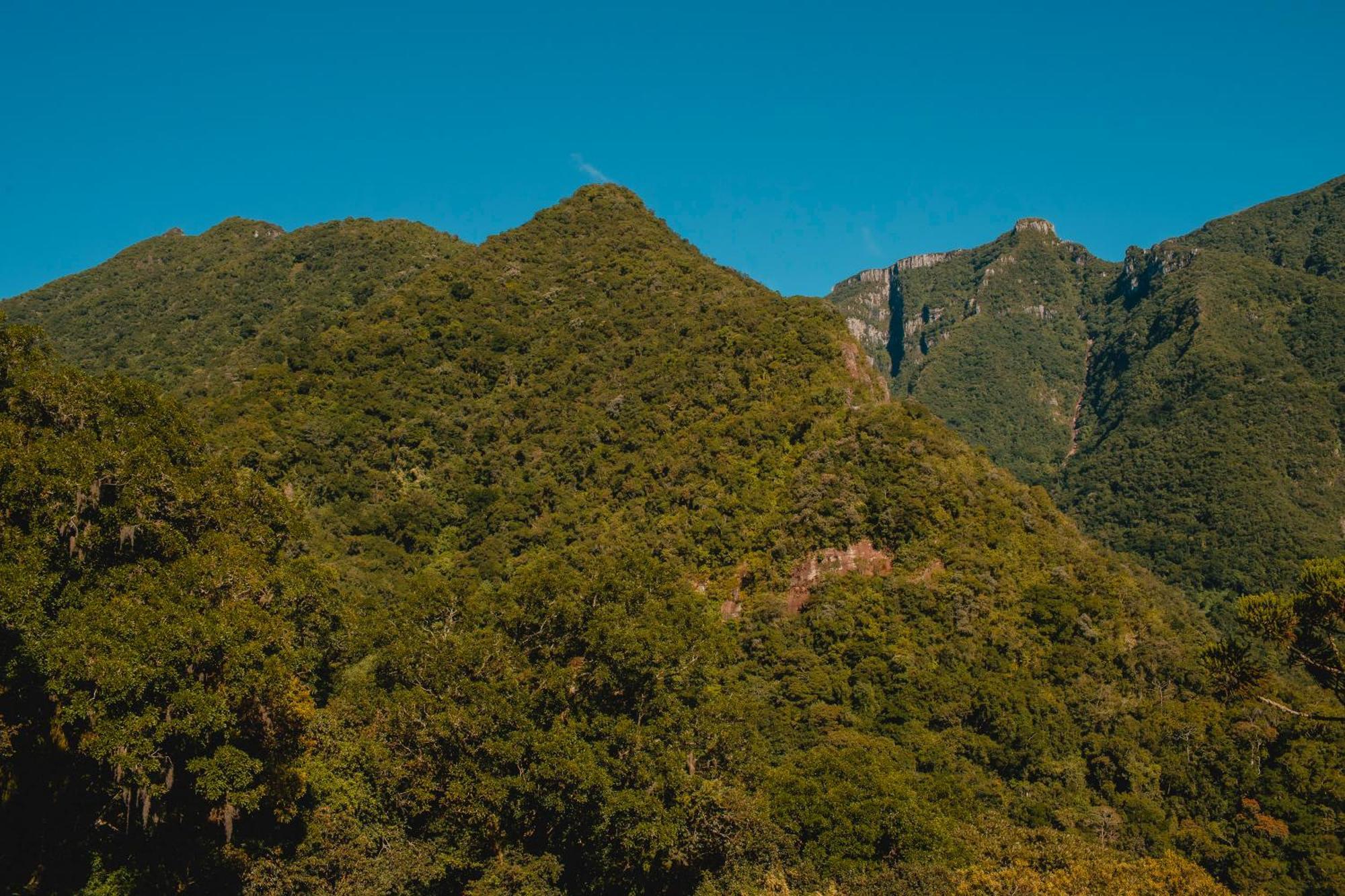 Pousada Bugio Da Serra Hotell Novo Horizonte  Eksteriør bilde